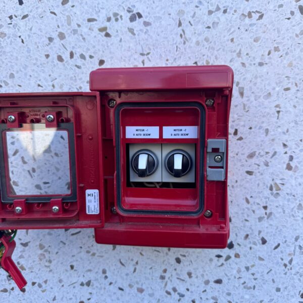 WhatsApp Image 2026-03-07 at 14.51.48