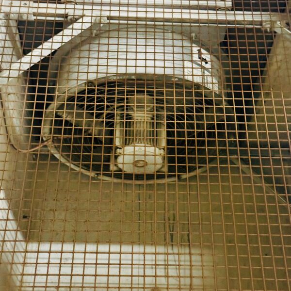 WhatsApp Image 2026-03-07 at 14.51.50